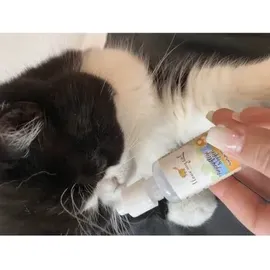 I LOVE MY CAT Augenpflege Tropfen 30 ml