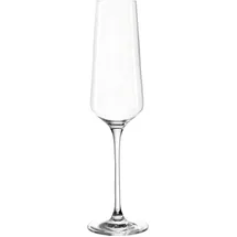 LEONARDO Sektglas 280ml Puccini - Transparent