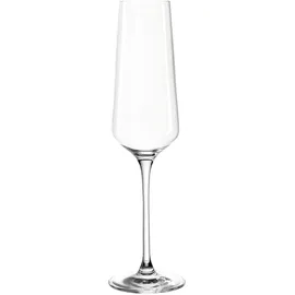 LEONARDO Sektglas 280ml Puccini - Transparent
