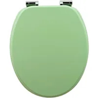 Sanfino WC Sitz Mint Green Toilettendeckel mit Absenkautomatik aus