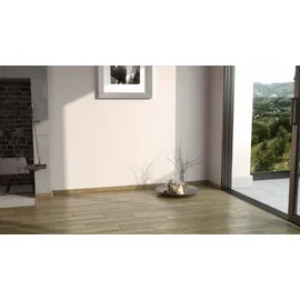 FN Neuhofer Neuhofer Fußleiste 240 cm x 58 x 19 mm eiche graubraun