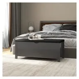 furnicato Truhenbank Aufbewahrungsbox mit Sitzpolster 105 x 40 x 45 cm Grau (1-St), Kissenbox mit Kunstleder-Oberfläche, Massivholz und viel Stauraum grau