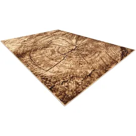 RugsX Teppich Bcf Morad PIEN Baum Holz - beige 300x400 cm,