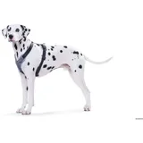 Hunter Geschirr Neopren schwarz/grau XXL 81 - 100cm/25mm