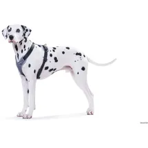 Hunter Geschirr Neopren schwarz/grau XXL 81 - 100cm/25mm