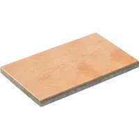 Diephaus Terrassenplatte Noca Lachs geflammt 60 x 40 x