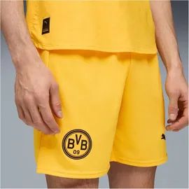 Puma Borussia Dortmund Shorts 2025/26 gelb Herren Gr. L