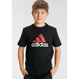 Adidas U BL 2 Tee, T-Shirt,