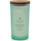 Chesapeake Bay Candle Balance + Harmony Duftkerze 355 g