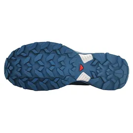 Salomon X Ultra 360 GTX Herren Carbon/India Ink/Deep Dive 42