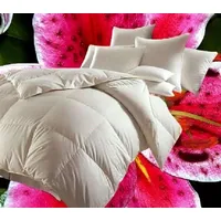Hofmann Canada Ganzjahres Daunendecke Daunenbett 4x6 155x220 1200 g 100% Daunen - Weiß