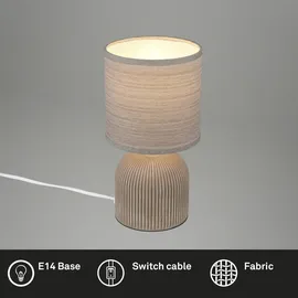 Briloner Ino Braun