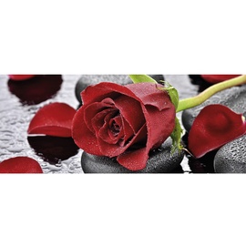 Marmony Infrarotheizung Red Roses 800W