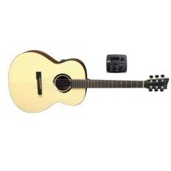 E-Akustikgitarre BR-30-E Belle-Rose