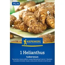 Kiepenkerl Topinambur, braun