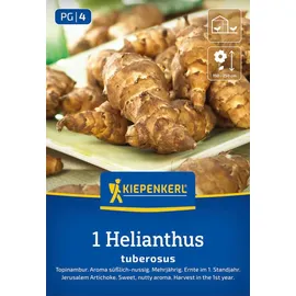 Kiepenkerl Topinambur, braun