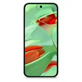 256 GB Wintergreen