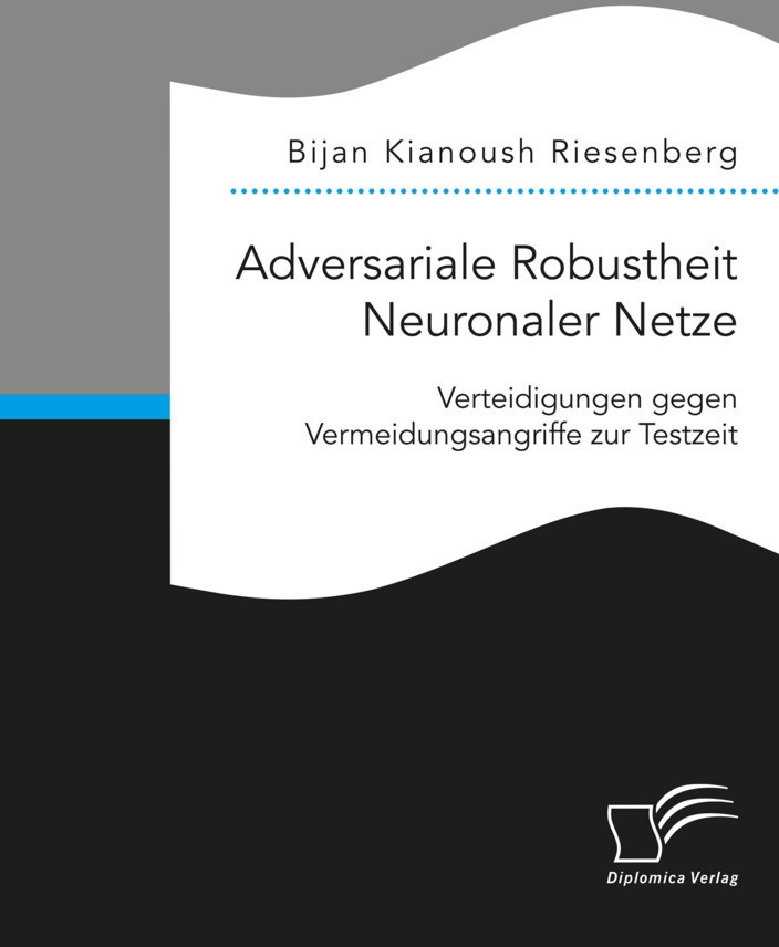 Adversariale Robustheit Neuronaler Netze. Verteidigungen Gegen Vermeidungsangriffe Zur Testzeit - Bijan Kianoush Riesenberg  Kartoniert (TB)