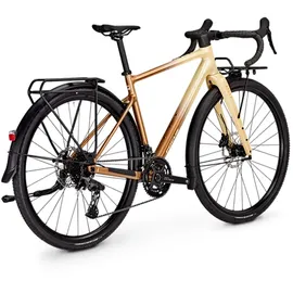 Focus Atlas 6.8 EQP 2026 28 Zoll RH 20 cm Unisex beige/braun/bronze