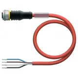 Turck Aktuator- u. Sensorleitung RKC4.4T-1/TXO3700