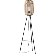 Brilliant Woodrow Braun