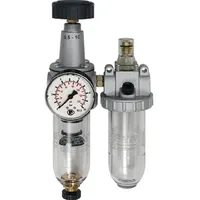 Riegler Wartungseinheit 2-tlg. »Standard«, mit PC-Behälter, BG 1, G