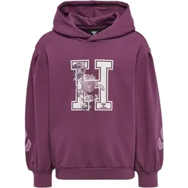 hummel hmlASTROLOGY Hoodie amaranth 104