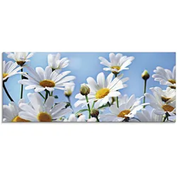 Artland Glasbild »Blumen - Margeriten«, Blumen, (1 St.), in verschiedenen Größen Artland Farbe Bild(er): weiß