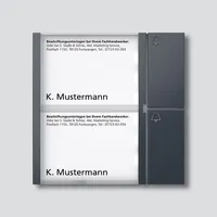 Siedle BTM 650-02 AG