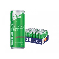 Red Bull 24x Energy Drinks, 250 ml, Green Edition (Kaktusgeschmack)