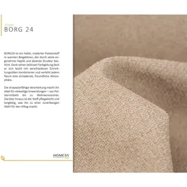 Homesy Schlafcouch Beige 2-Sitzer