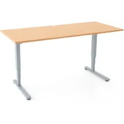 STIER Elektrisch Höhenverstellbarer Schreibtisch 501-53 120x80cm, Doppel-Teleskop, Buche mel., 63-123cm