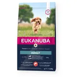 Eukanuba Adult Small/medium Salmon & Gerste Hundefutter 2,5 kg