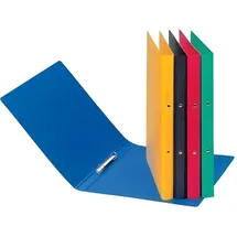 Pagna Ringbuch DIN A4 30 mm Grün 1 St.