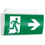 ESYLUX Notleuchte SLE/SLFEL#EN10061806