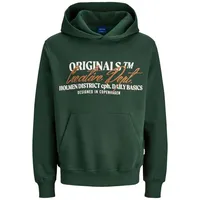 JACK & JONES Langarmshirt grün S