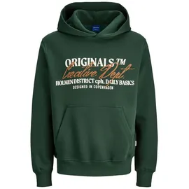 JACK & JONES Langarmshirt grün S