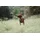 Hunter Divo Hundegeschirr Dunkelblau/Grau S