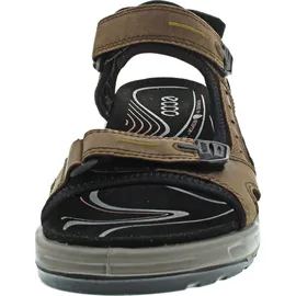 ECCO Offroad Herren espresso/cocoa 43