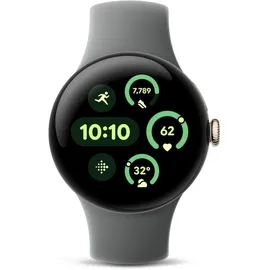 Google Pixel Watch 3 45 mm Bluetooth matte hazel Sportarmband hazel