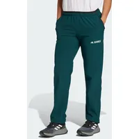 Adidas Terrex Multi Liteflex Hosen - Aurora Ivy -