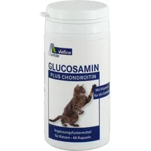 Avitale Glucosamin+Chondroitin Kapseln für Katzen