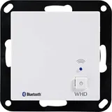 WHD Bluetooth-Receiver BTR55MK2 silber