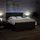 vidaXL Boxspringbett 180 x 200 cm Schwarz