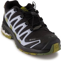 Salomon XA Pro 3D V8 Gore-Tex Damen black/green moss/zen blue 37 1/3