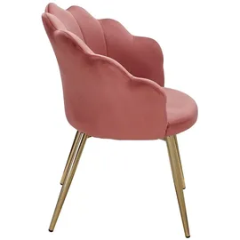 FineBuy Esszimmerstuhl Tulpe Samt / Metall Gepolstert Küchenstuhl Schalenstuhl