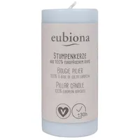Eubiona Stumpenkerze 50 x 110 silber