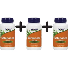 NOW Foods Echinacea 400 mg veg Kapseln 100 St.