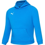 Puma Teamgoal 23 Casuals Hoody Jr, electric blue lemonade 02 164