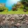 JUWEL AQUARIUM Aquariendeko Poster 1 L 100 x 50 cm
